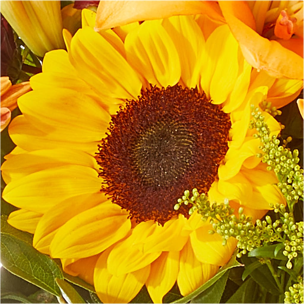 Seasons Change Bouquet – HAYLEE FLOWERS & VARIETIES, Freeport NY