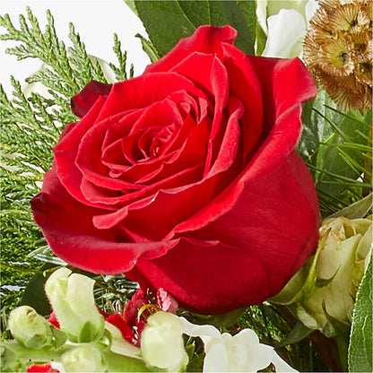 Deck the Halls Bouquet – HAYLEE FLOWERS & VARIETIES, Freeport NY