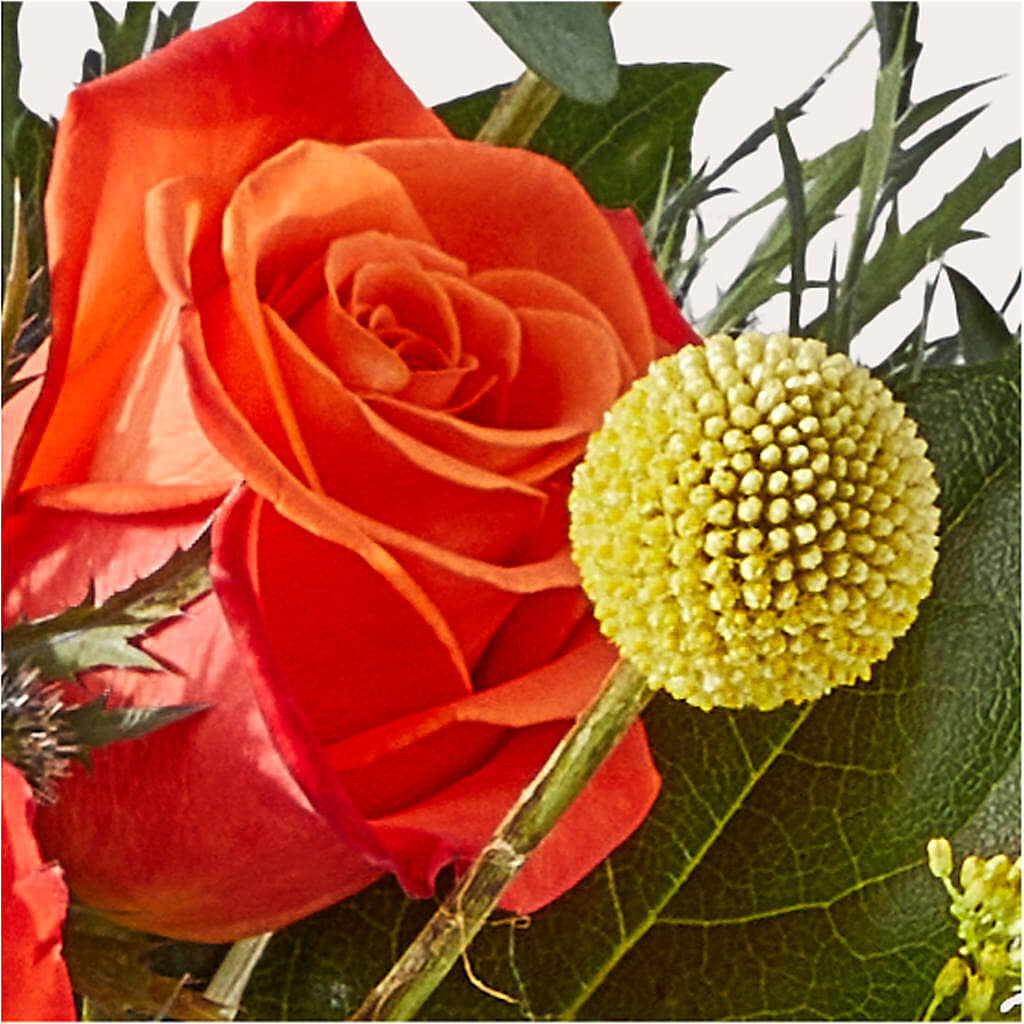 Disco Bouquet – HAYLEE FLOWERS & VARIETIES, Freeport NY
