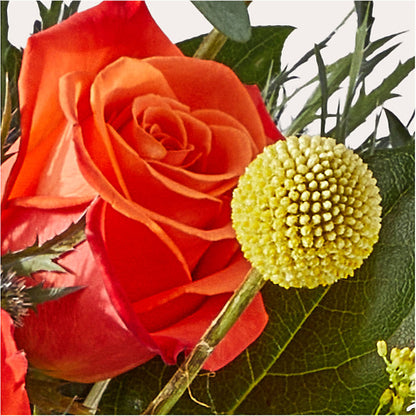 Disco Bouquet – HAYLEE FLOWERS & VARIETIES, Freeport NY
