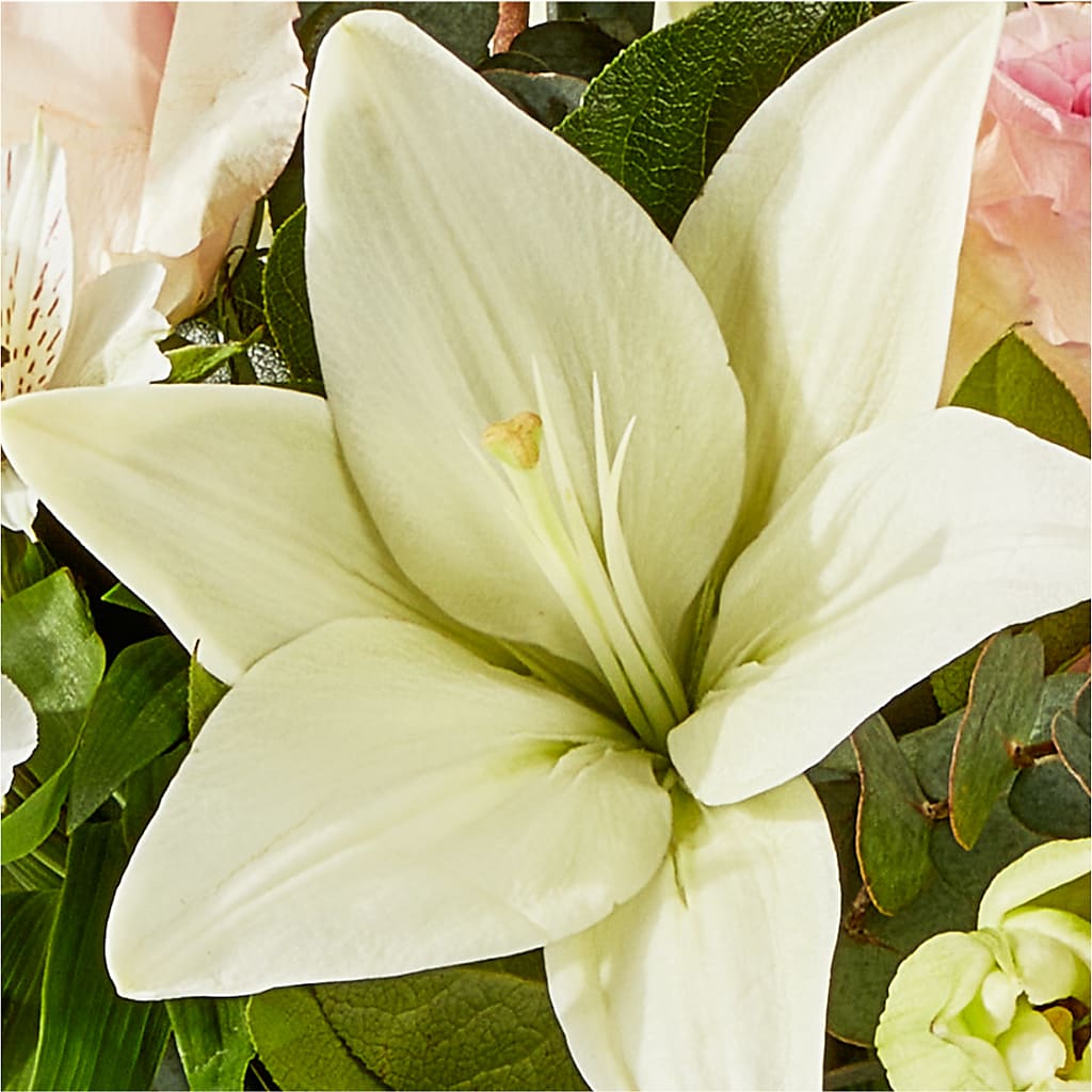 Ballet Slippers Bouquet – HAYLEE FLOWERS & VARIETIES, Freeport NY