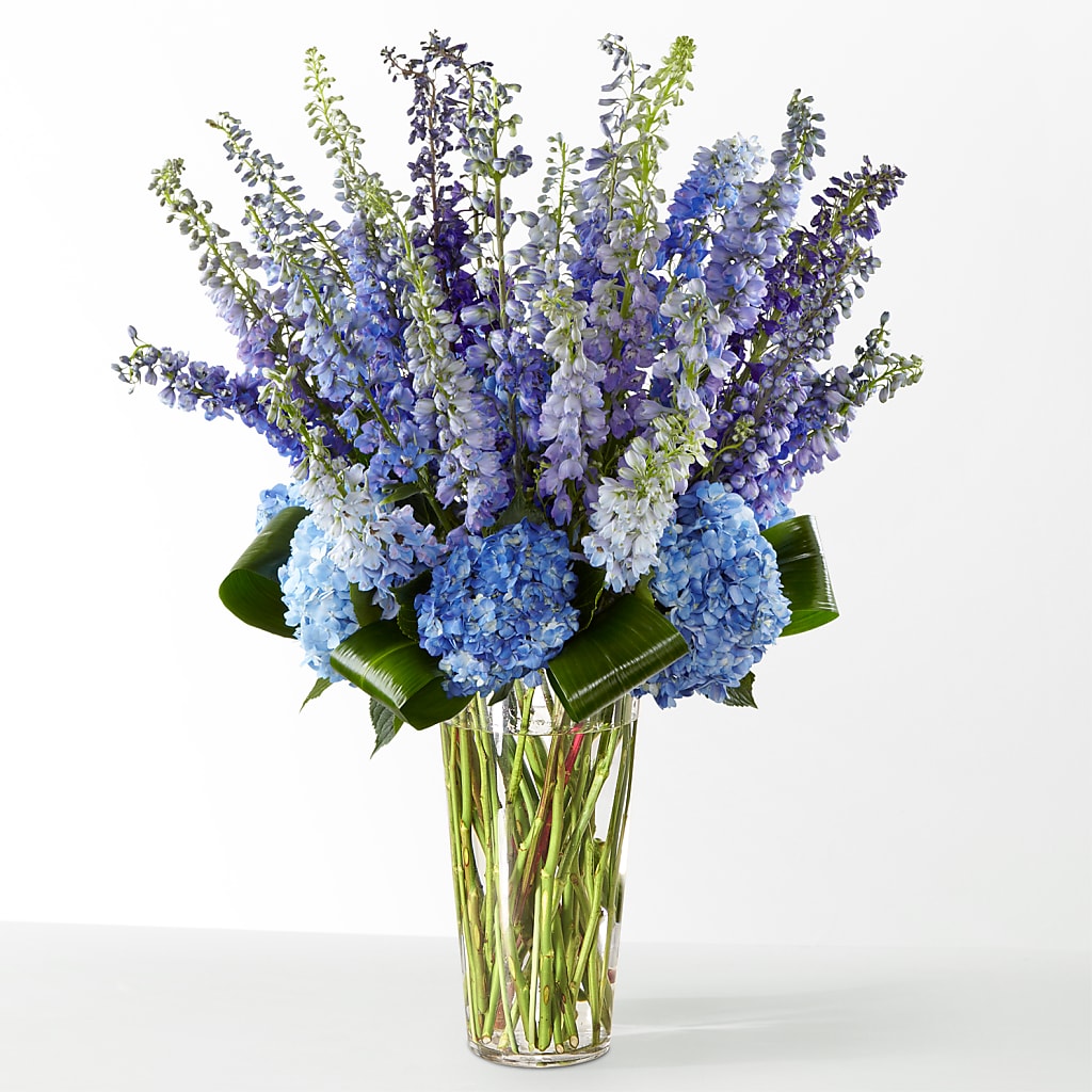 The Editorial – HAYLEE FLOWERS & VARIETIES, Freeport NY