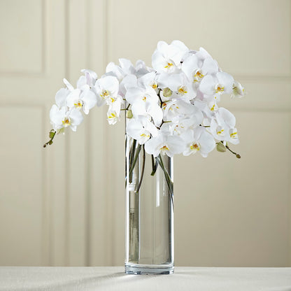 White Phalaenopsis Bouquet – HAYLEE FLOWERS & VARIETIES, Freeport NY