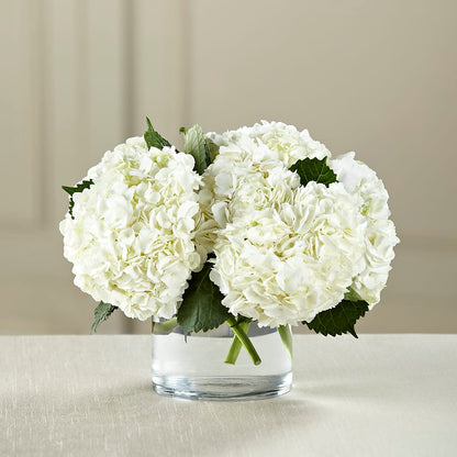 White Hydrangea Bouquet – HAYLEE FLOWERS & VARIETIES, Freeport NY